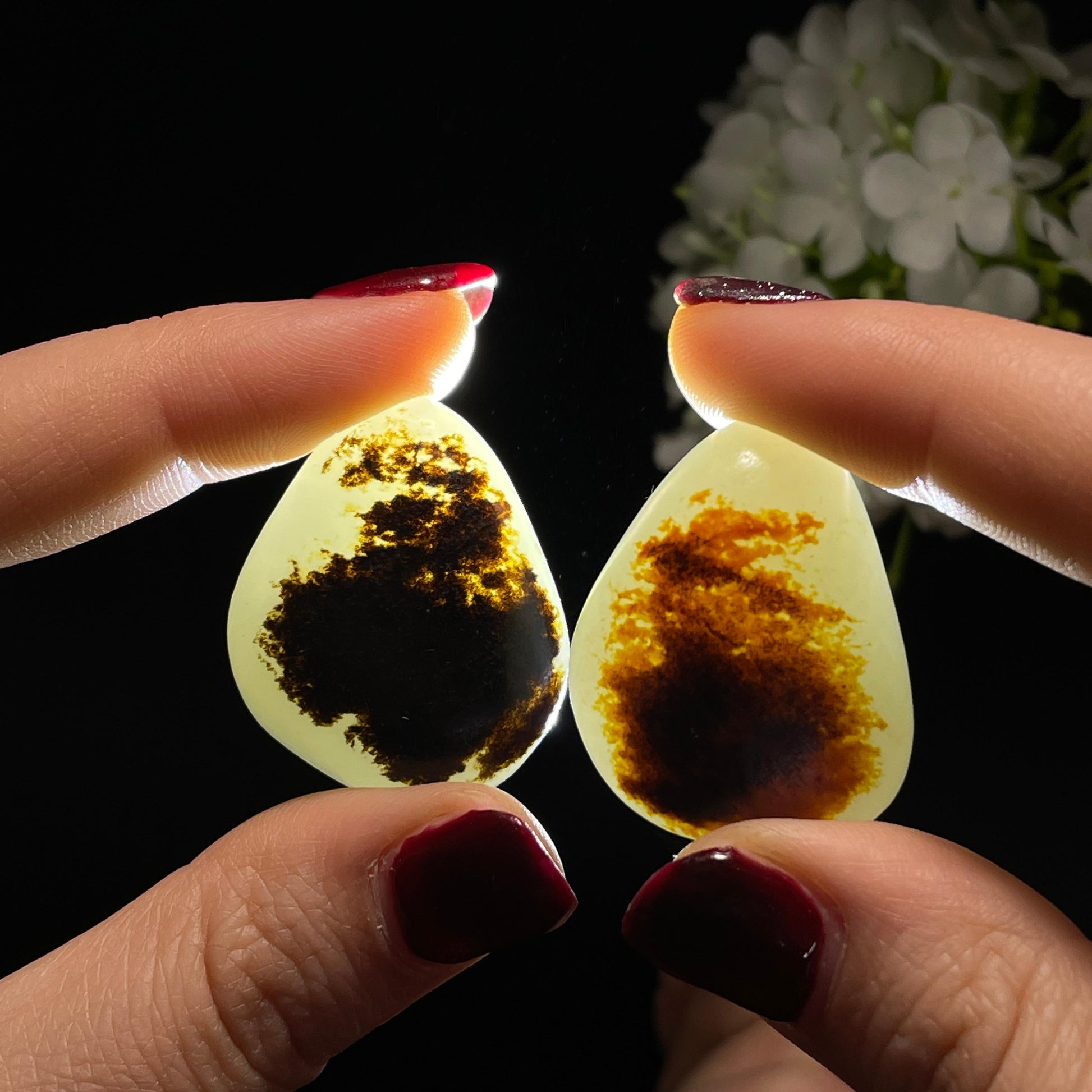 和田玉青白种双胞胎红黑皮籽料（yc338814）