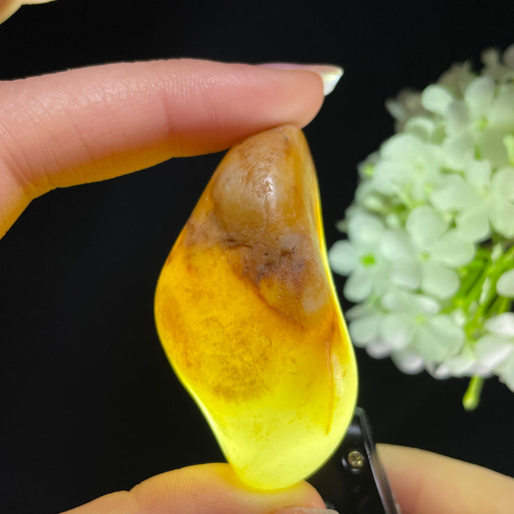 和田玉白玉“金膏流素”聚黄皮籽料（yc392785）