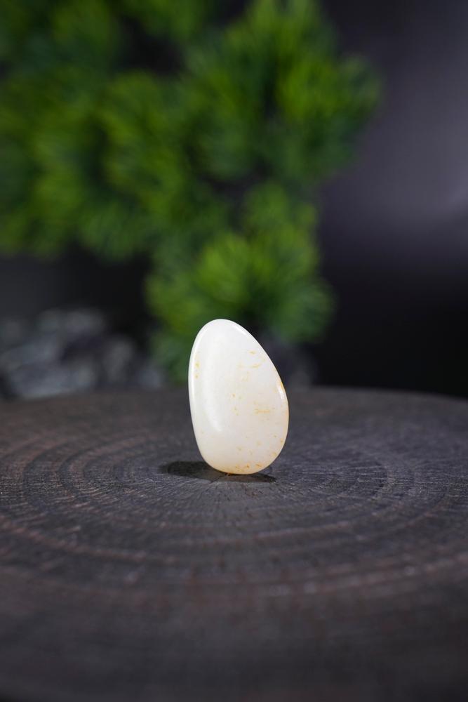 和田玉脂白洒金点皮籽料（yc211141）