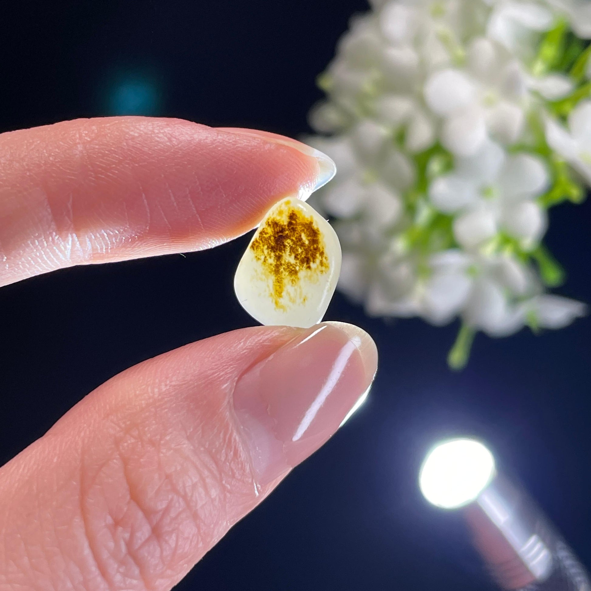 和田玉白玉“微尘映月”秋梨皮籽料（yc336325）