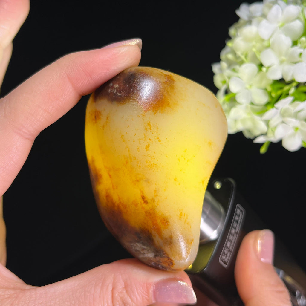 和田玉白玉秋梨洒金皮 “金梨牙璞” 籽料原石（yc290705）