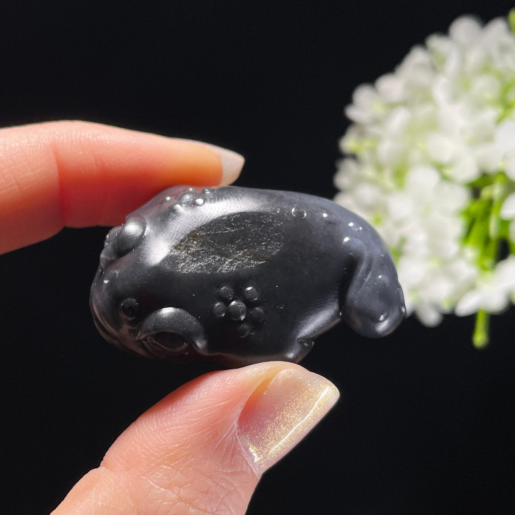 和田玉青花籽料“蟾宫纳财”三足金蟾雕刻挂件（yc325446）