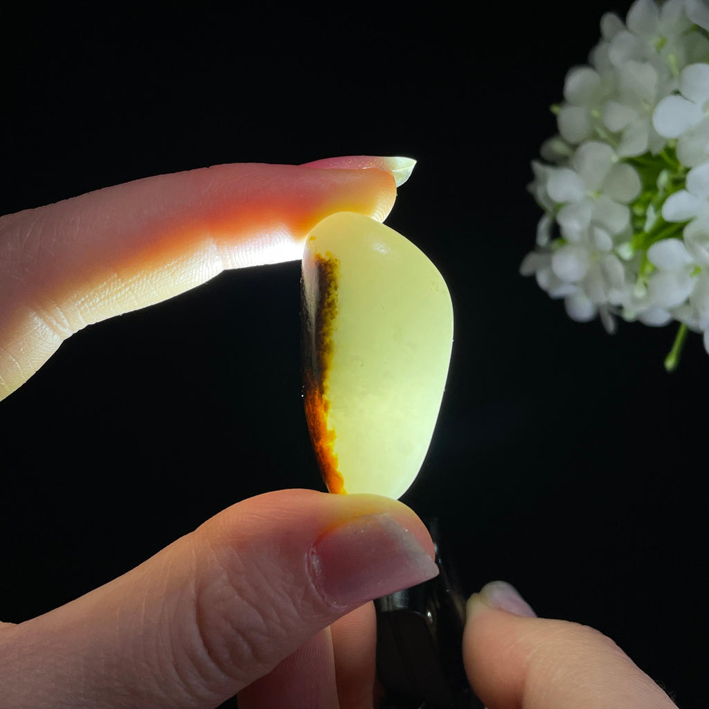 和田玉一级白“玄玉墨染”黑红皮籽料（yc319239）