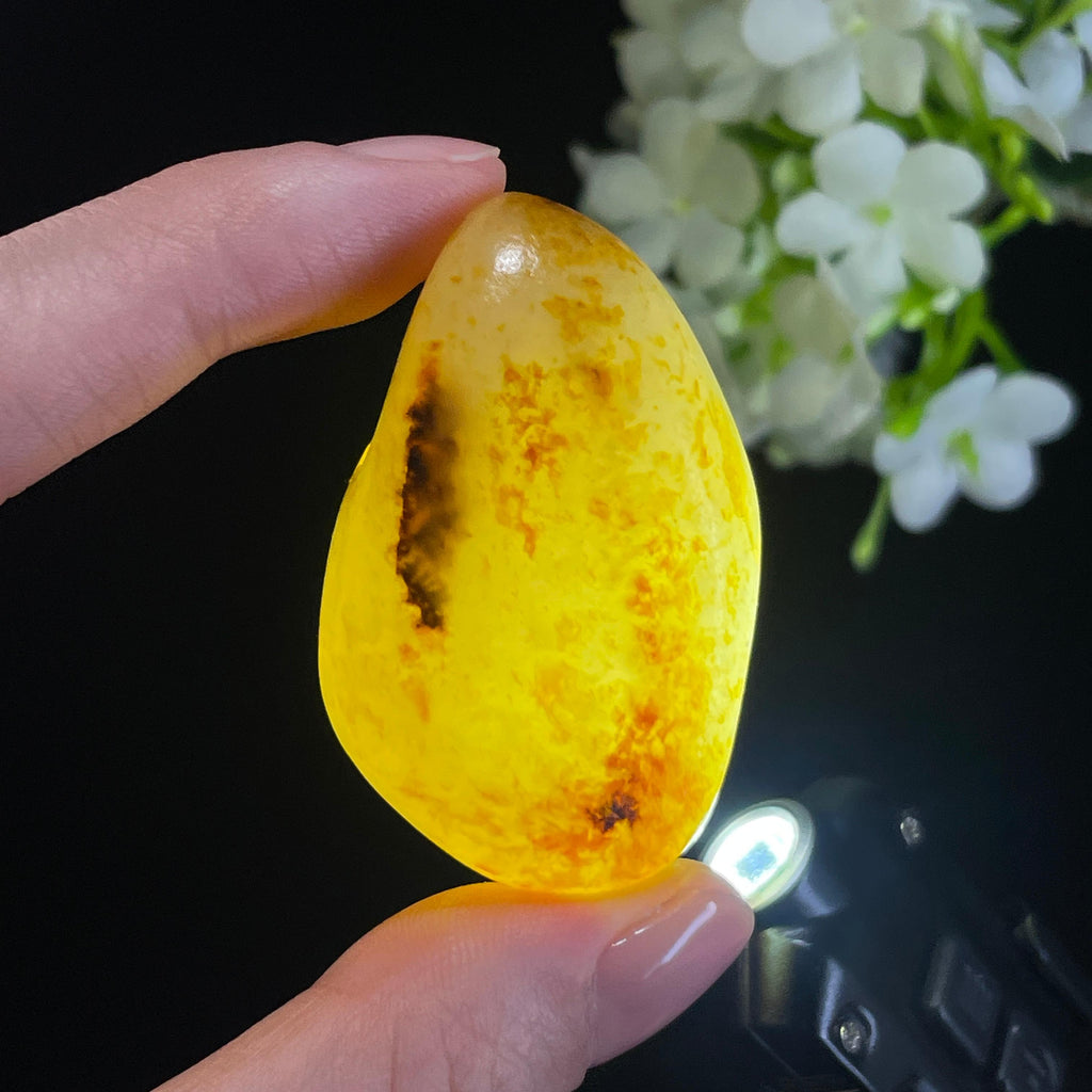 新疆天然和田玉“鸿运金生”聚红皮籽料（yc322329）
