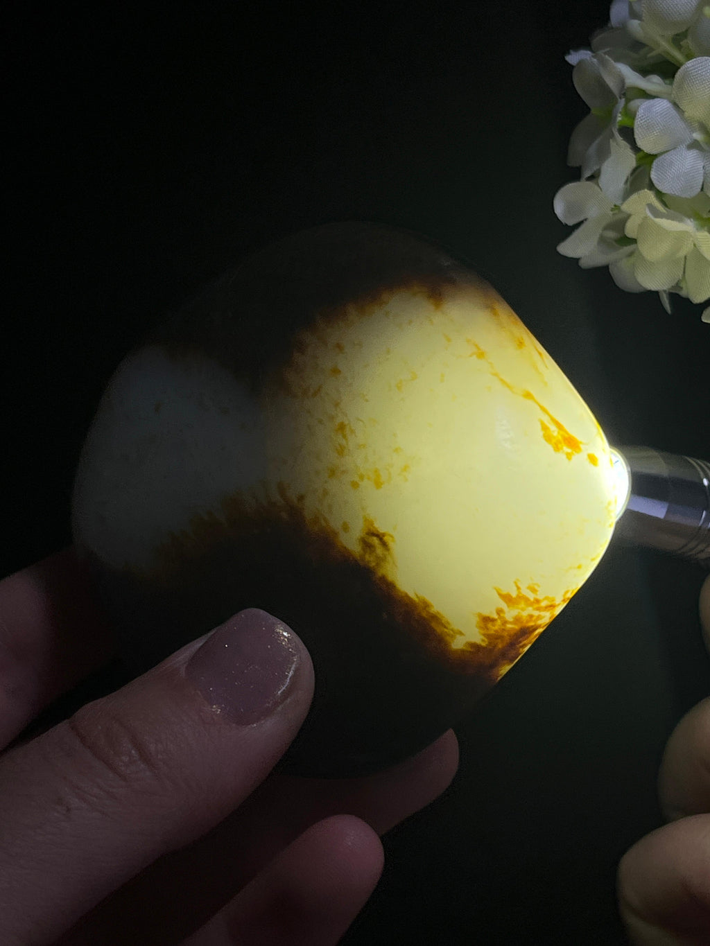 和田玉收藏级白玉聚黑双面皮籽料原石（yc262844）