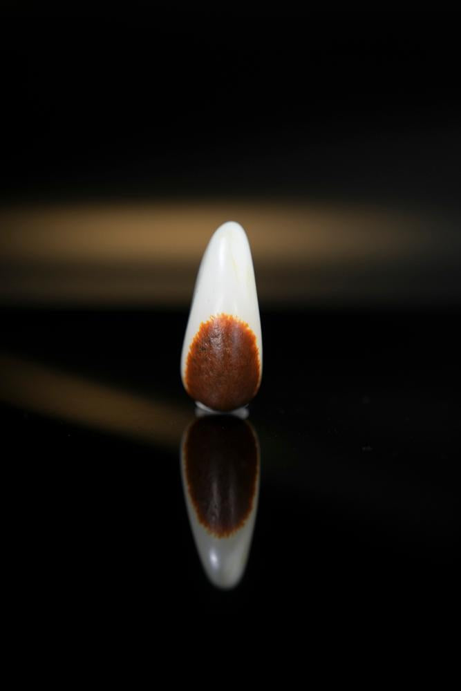 和田一级白玉聚红皮“招财进宝”籽料原石（yc259129）