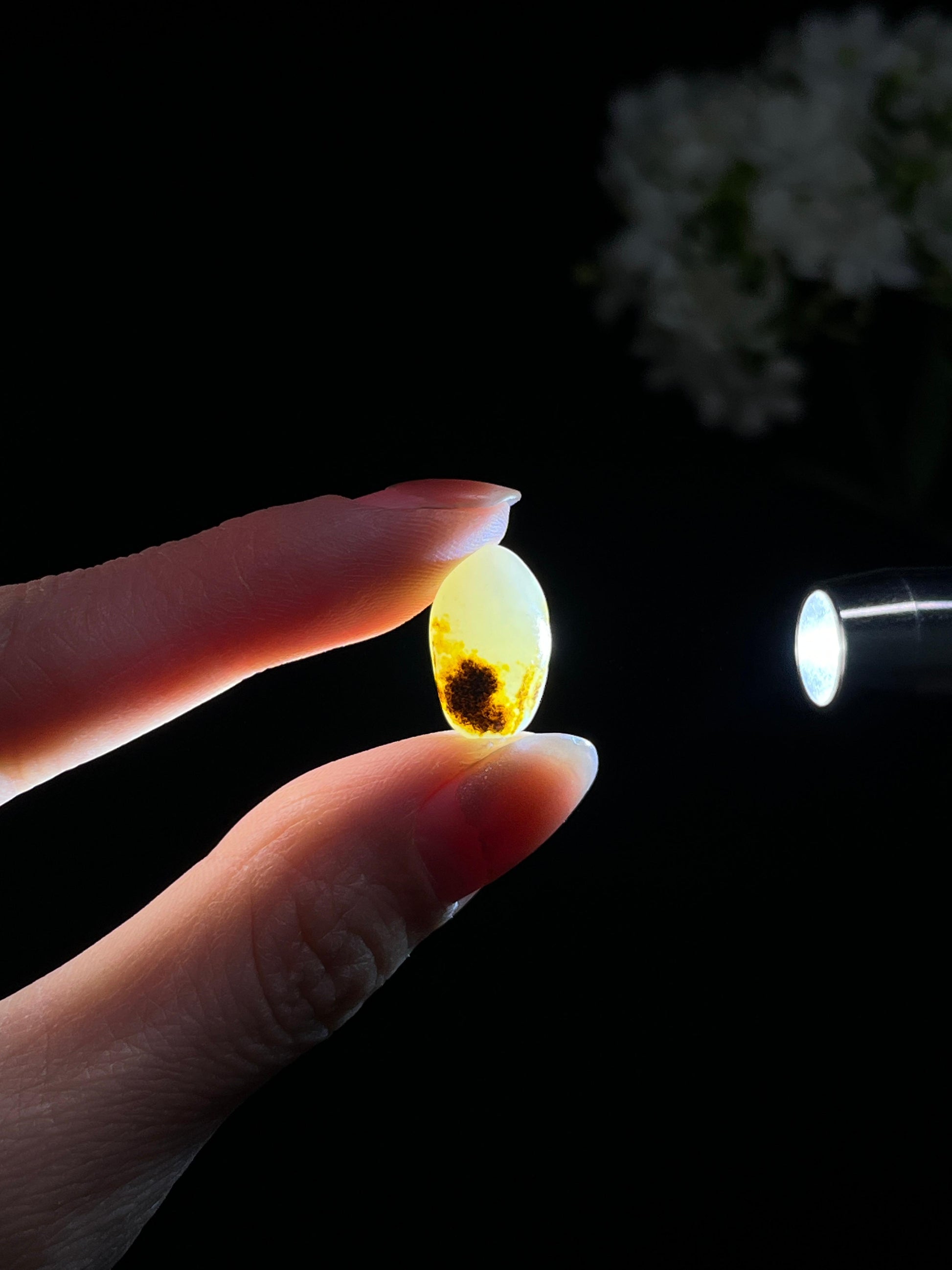 新疆和田玉聚黑皮黄皮小籽料原石蛋面籽（yc250743）