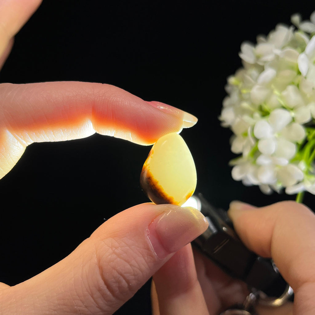 和田玉白玉“墨云衔月”黑红皮籽料（yc350700）