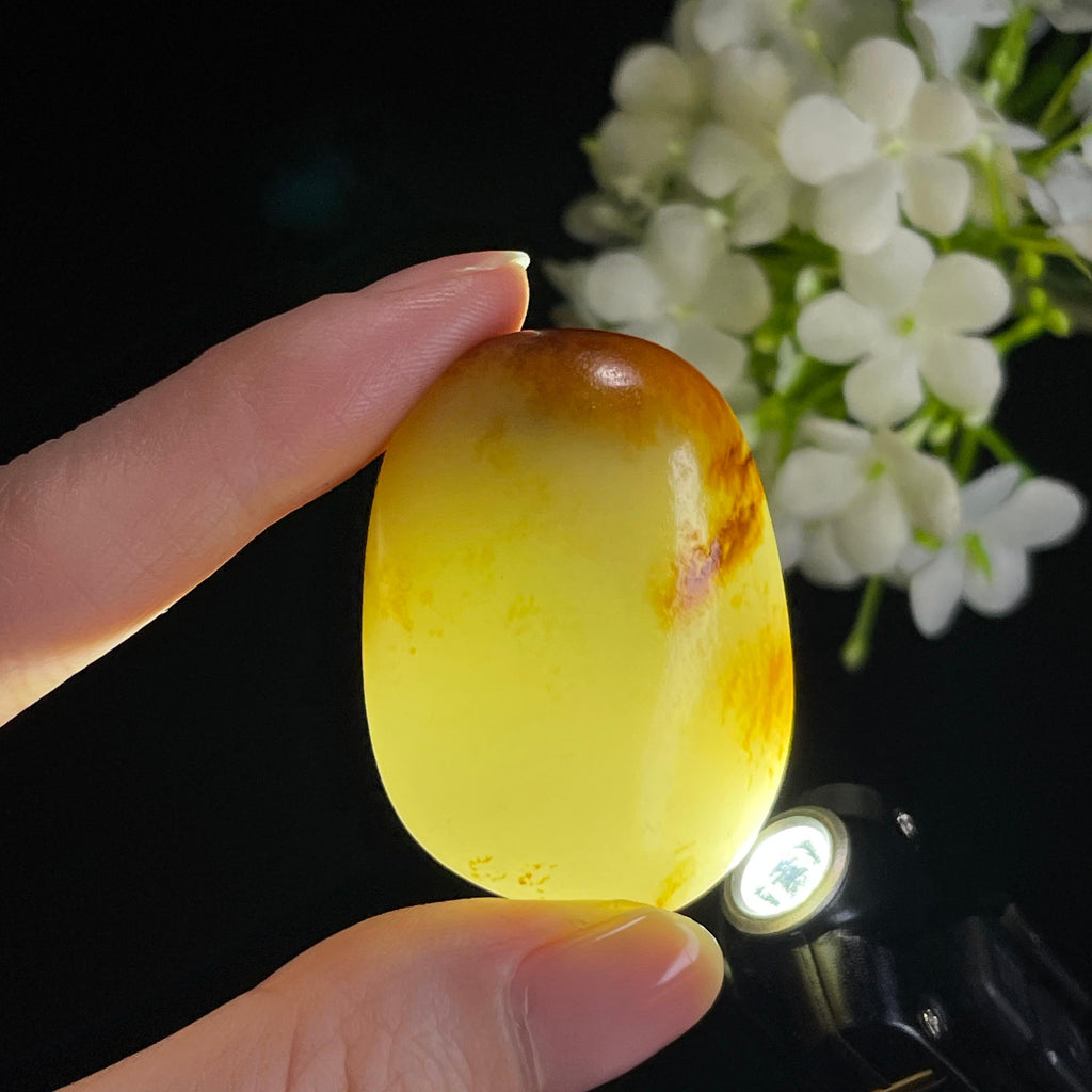 和田玉白玉洒金“一念鸿运”籽料（yc328395）