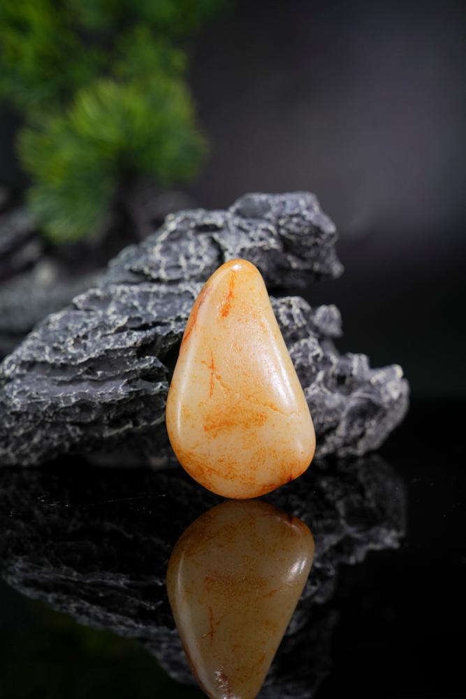 水滴型暖白种洒金皮原籽（yc208760）