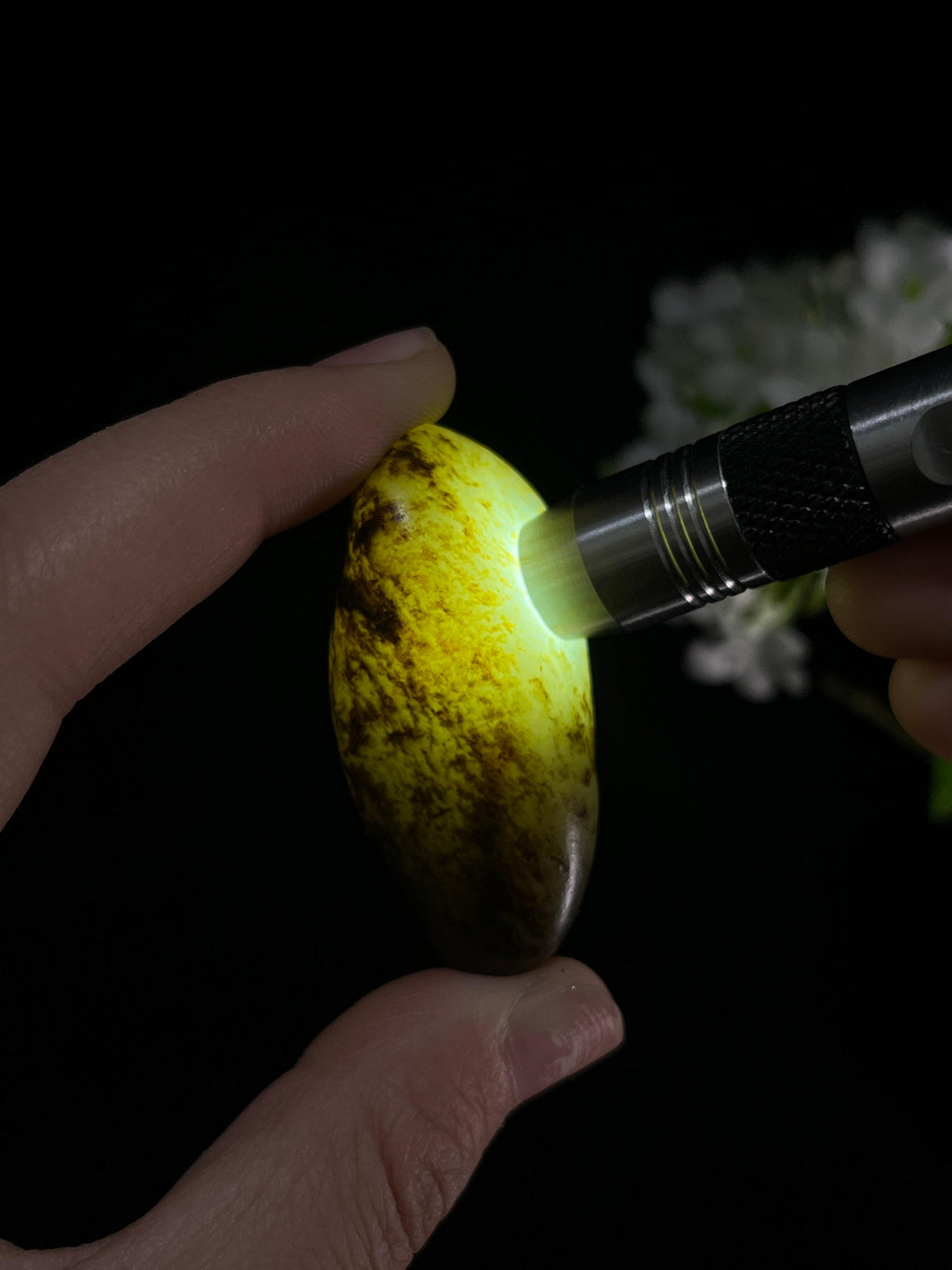 新疆和田玉秋梨皮聚黑皮籽料原石（yc251461）