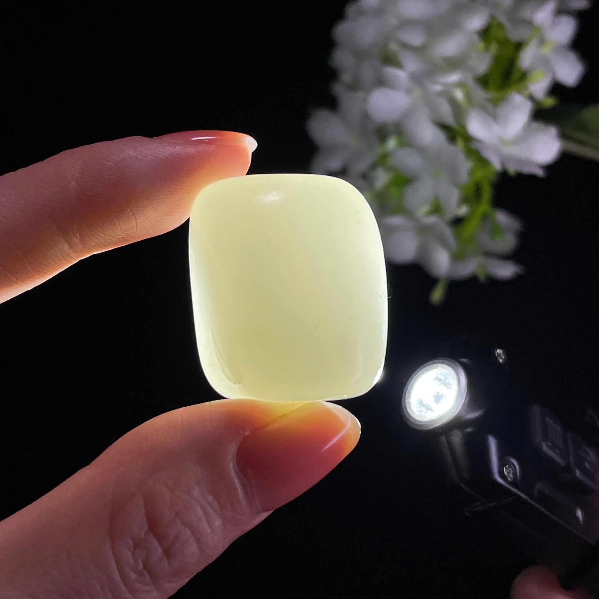 和田玉一级白“明月清辉”光白籽籽料（yc342063）