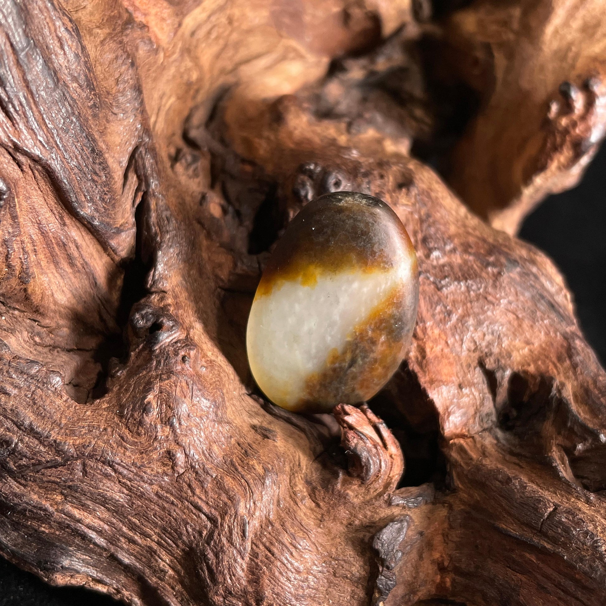 新疆和田玉“墨金凝珠”白玉聚黑皮戒面籽（yc443638）