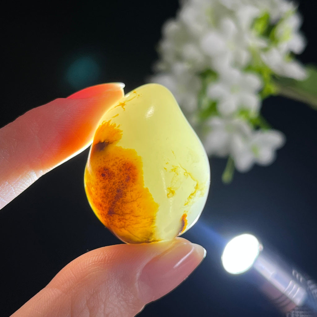和田玉白玉“夜火浮冰”黑红皮籽料（yc330228）