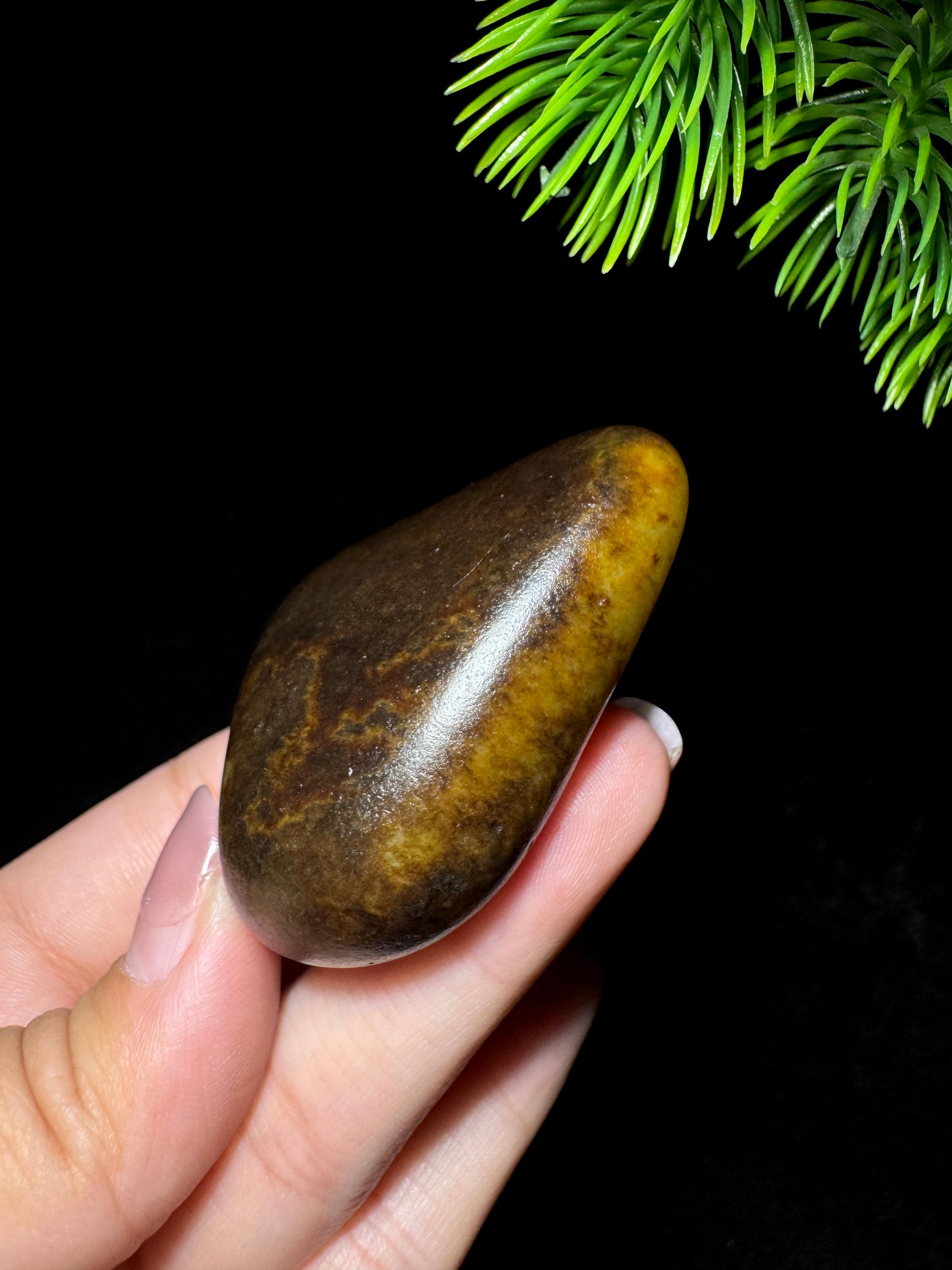 和田玉黑油皮籽料（yc305631）