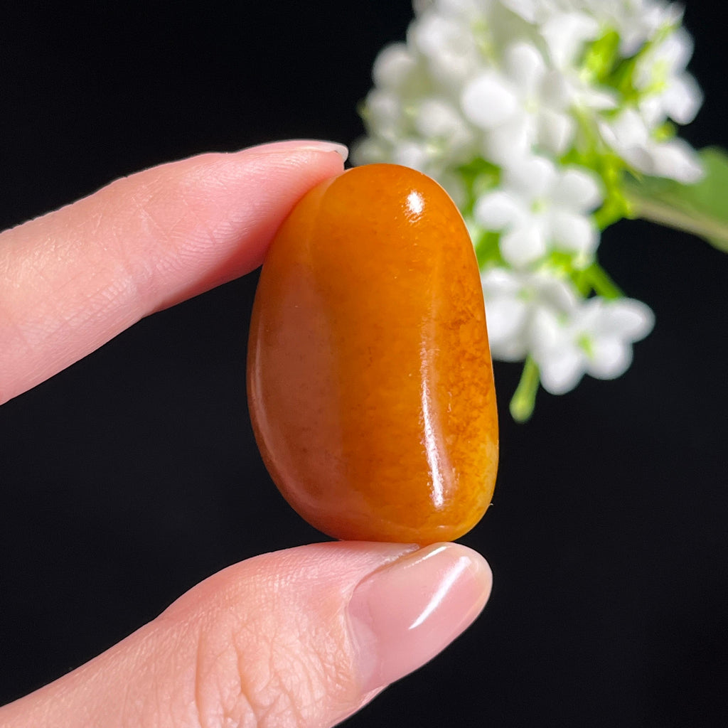 和田玉“琥珀金豆”黄沁籽料（yc343686）