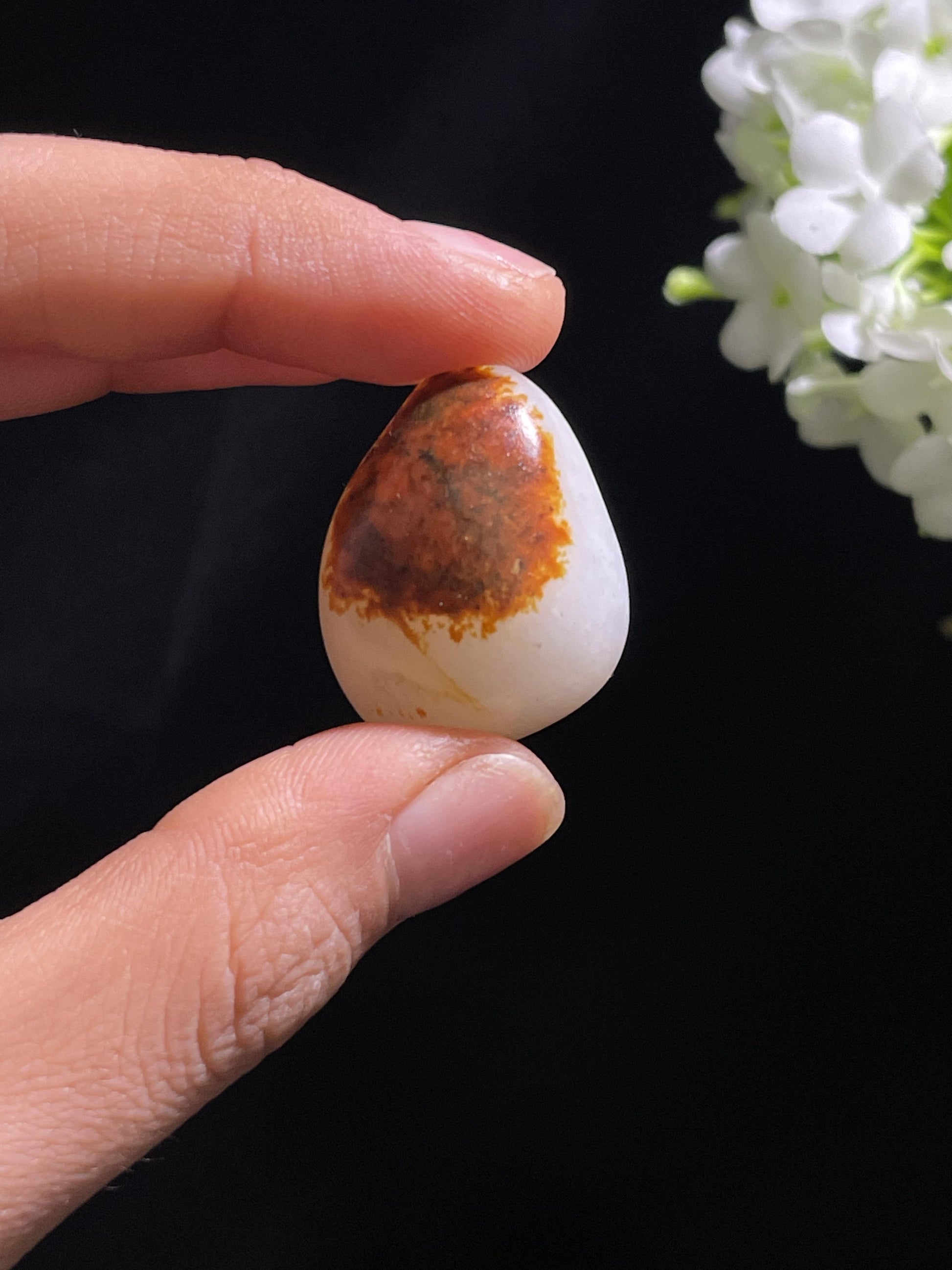 和田玉一级白枣红皮“鸿运当头”籽料原石（yc260831）