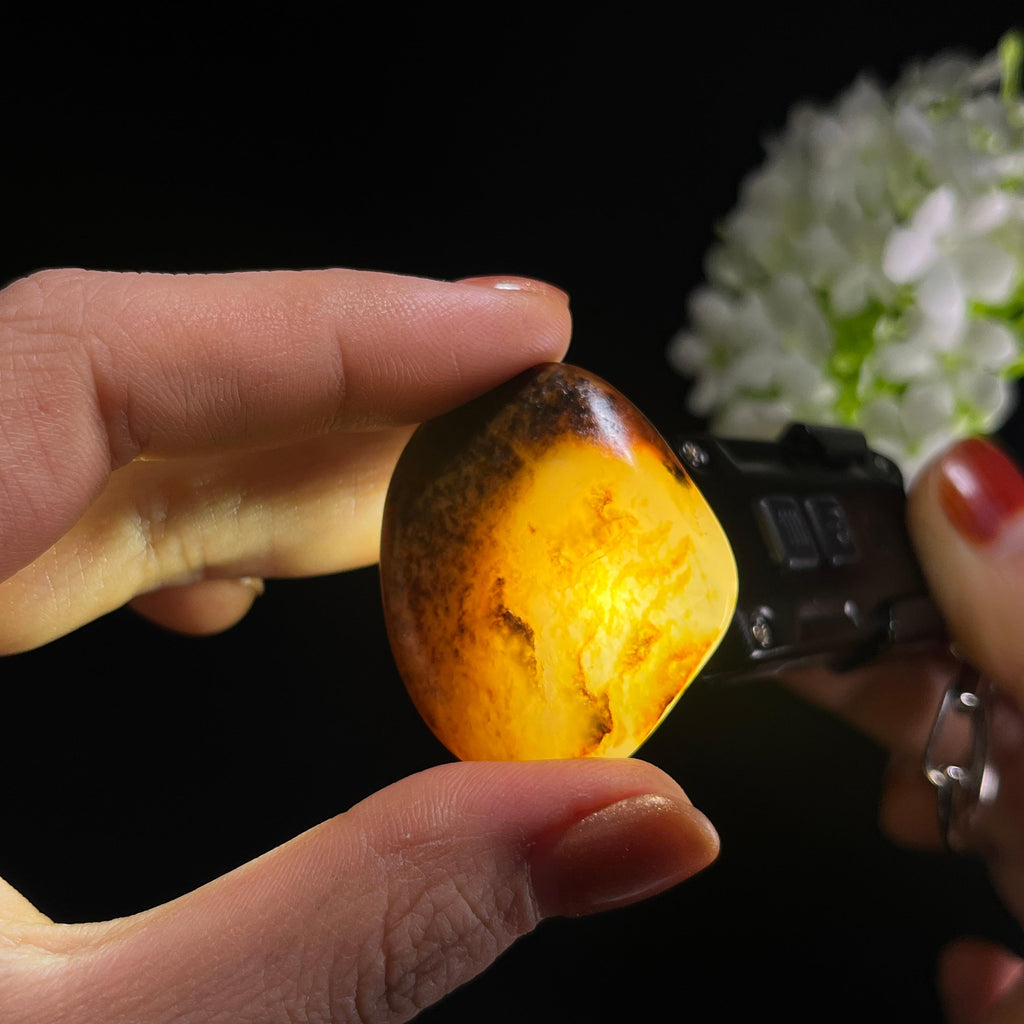 和田玉白玉“疏林漏影”黄沁皮籽料（yc392618）