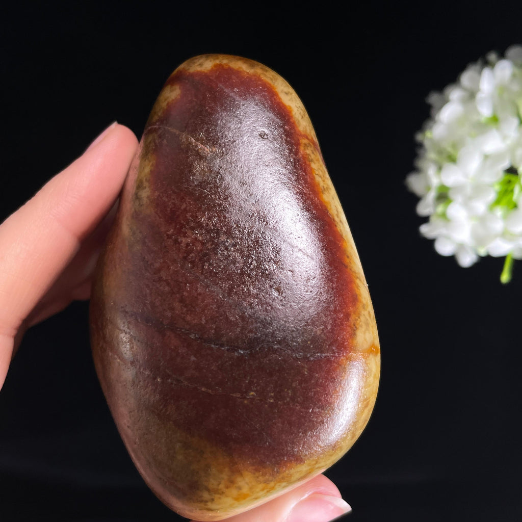 和田玉“赤皮藏腴”青白玉黑皮聚红皮籽料做料（yc425074）