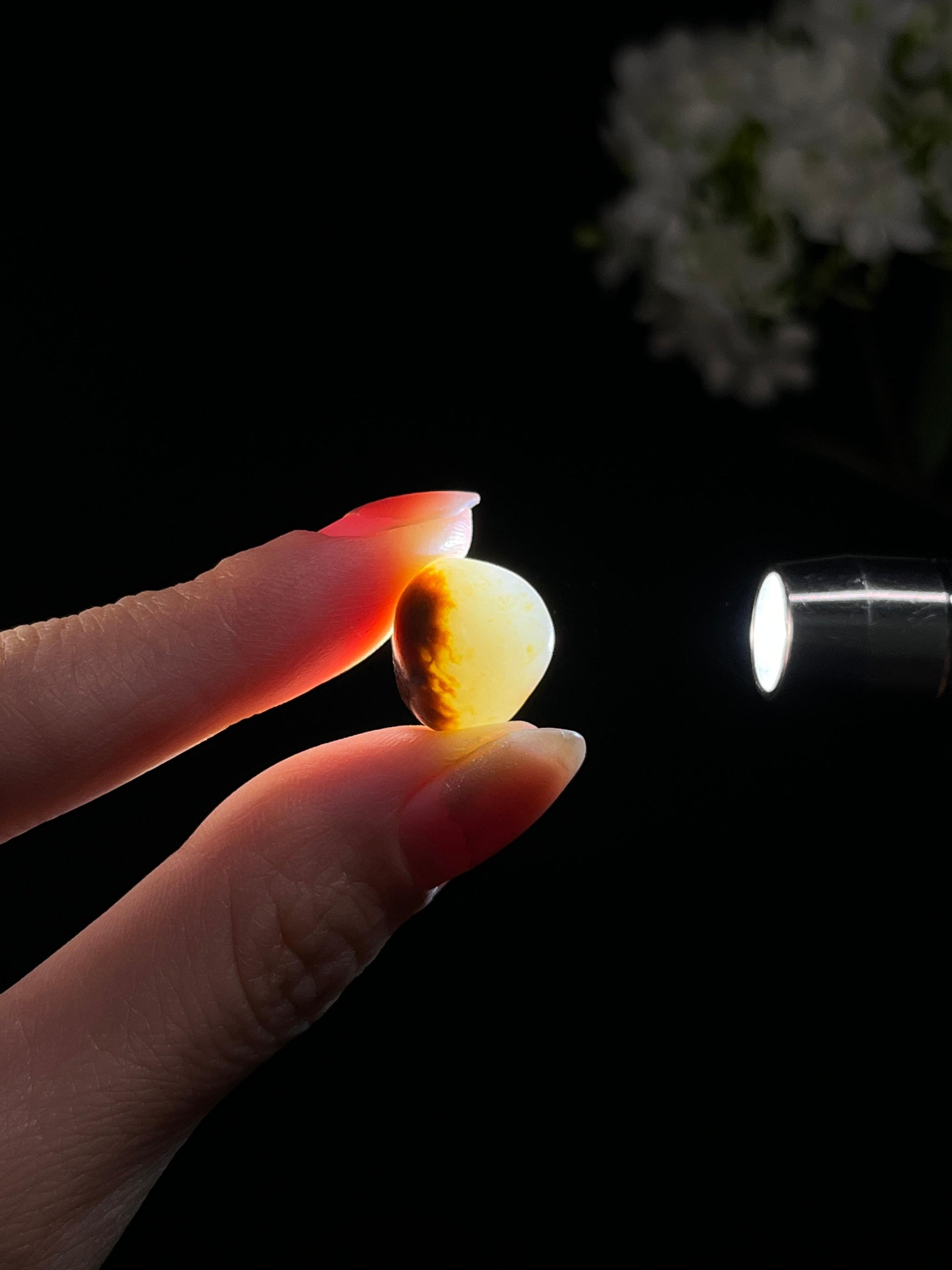 新疆和田玉聚红皮洒金皮小籽料原石蛋面籽（yc250742）