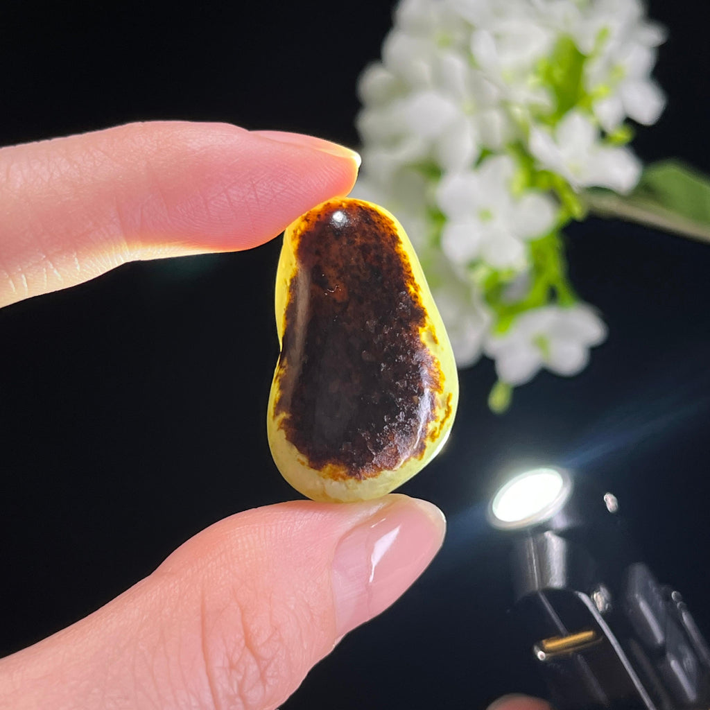和田玉白玉聚红洒金皮籽料（yc308639）