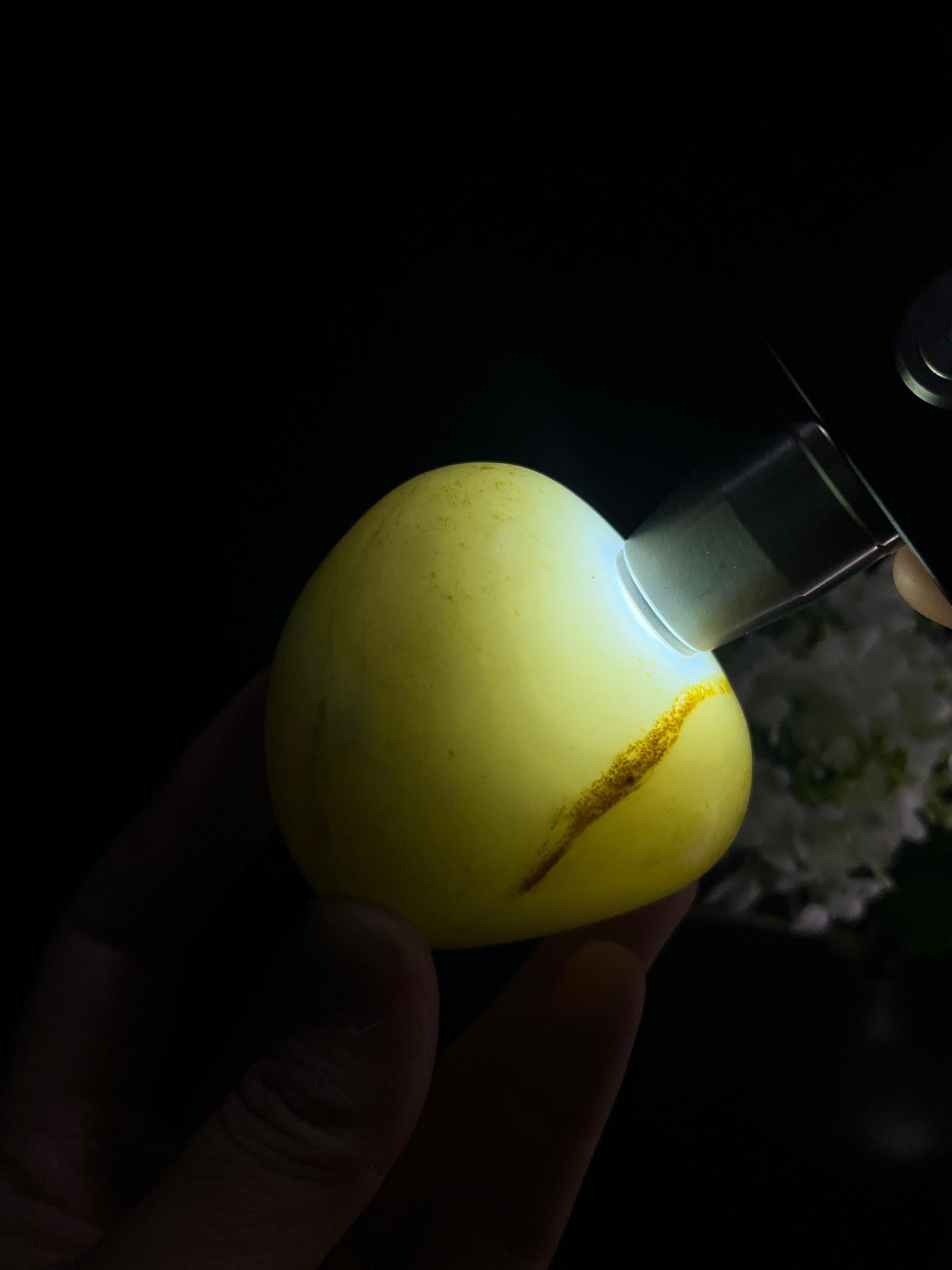 新疆和田玉收藏级秋梨皮象形籽料原石（yc253260）