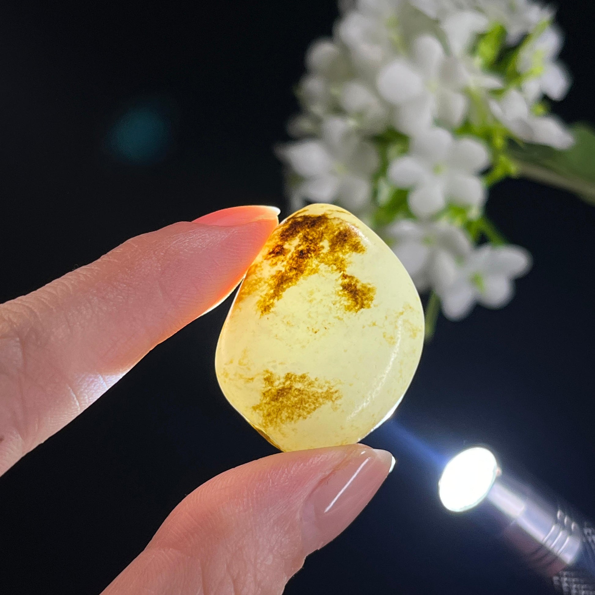 和田玉白玉“秋霜凝雨”秋梨皮籽料（yc330209）