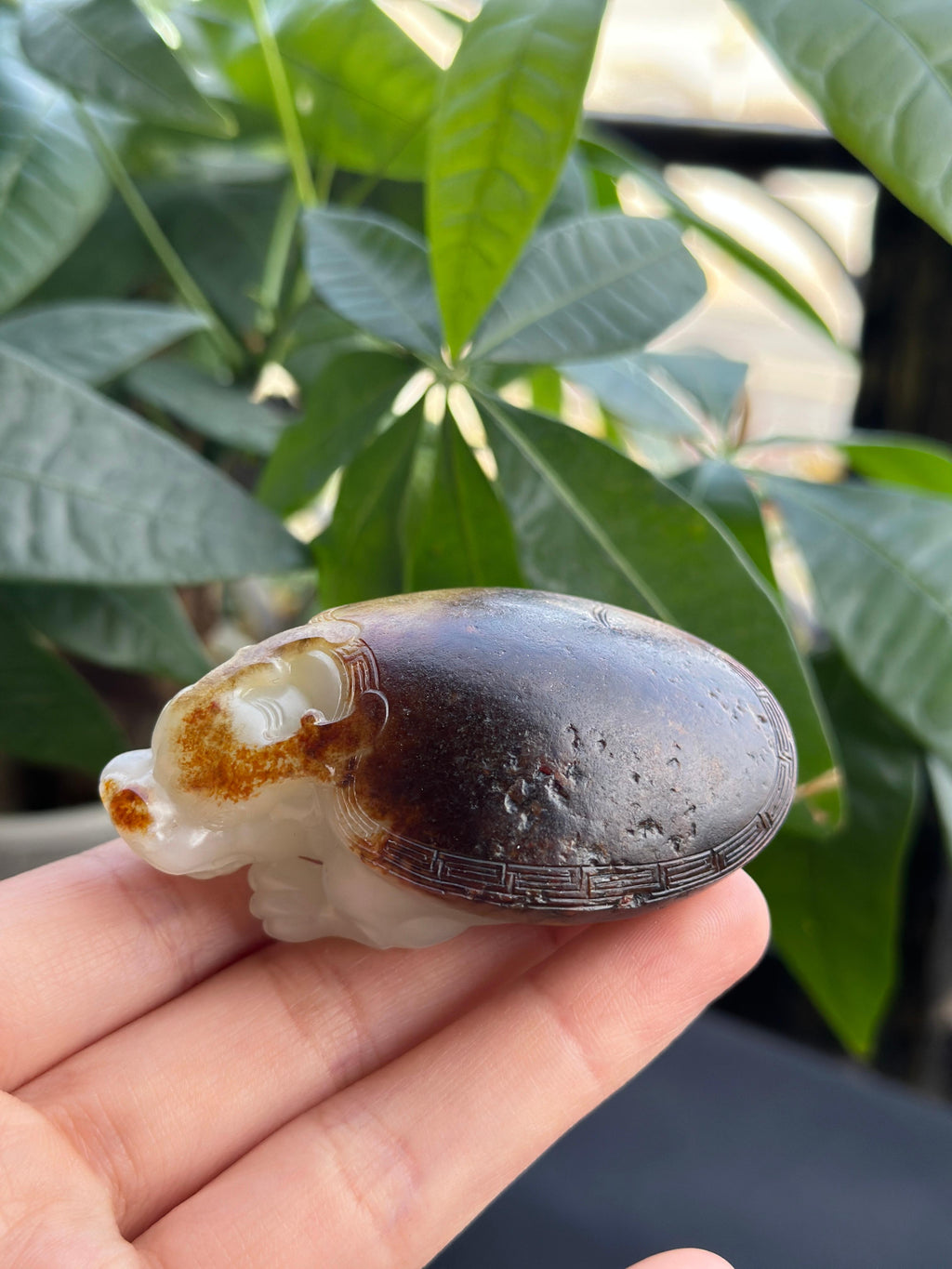 新疆和田玉精品白玉黑红皮籽料龙龟手把件（yc710527）