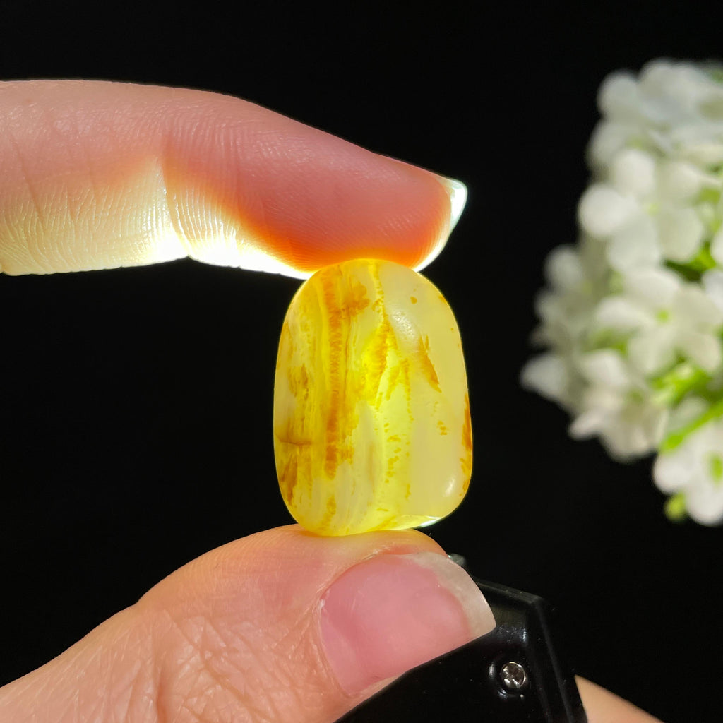 新疆天然和田玉白玉聚黄皮小籽（yc414933）