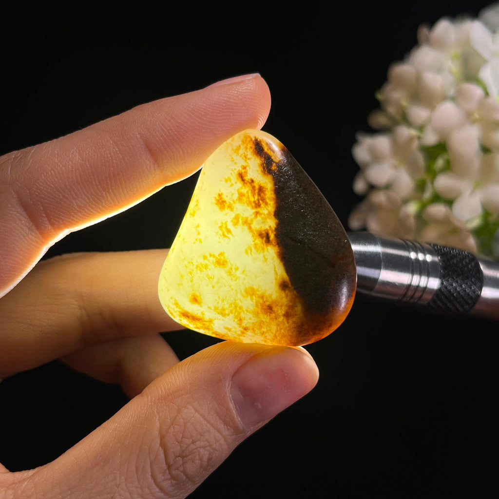 和田玉白玉秋梨聚黑皮籽料（yc337543）