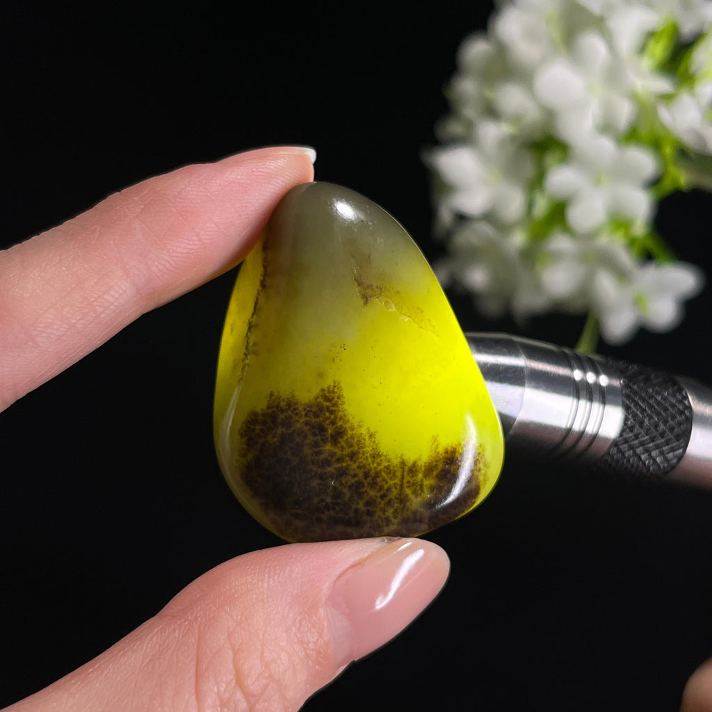 和田玉青白种“黛山泼墨”秋梨皮籽料（yc329355）