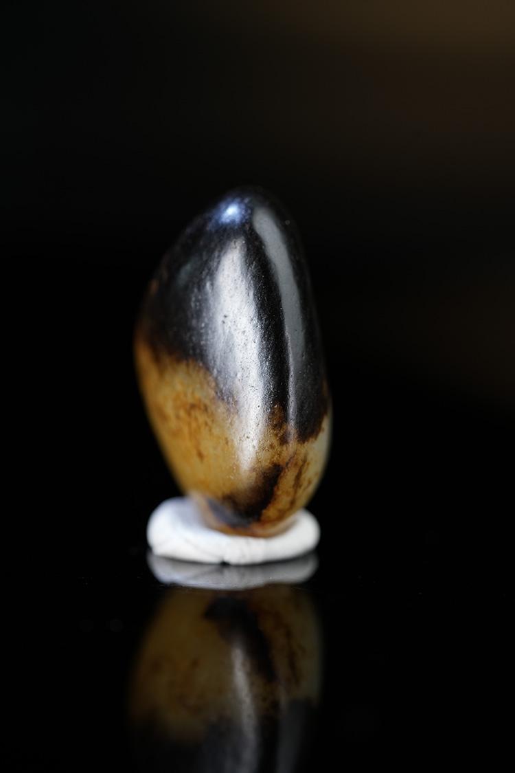 新疆和田玉籽料原石聚黑皮带洒金挂件（yc251748）