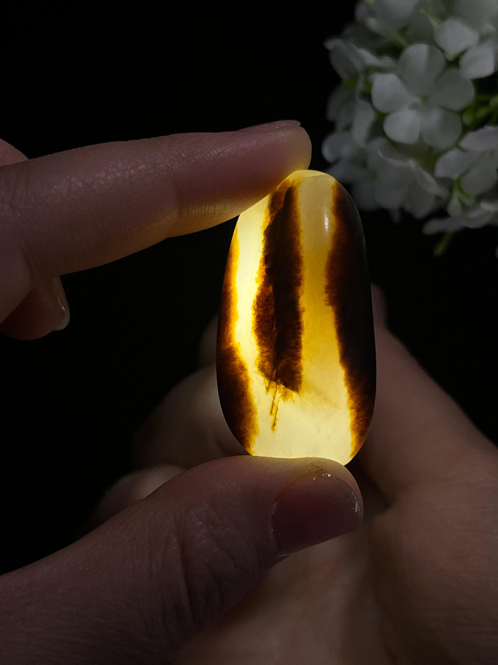 和田玉收藏级聚黑双面皮籽料原石（yc262729）