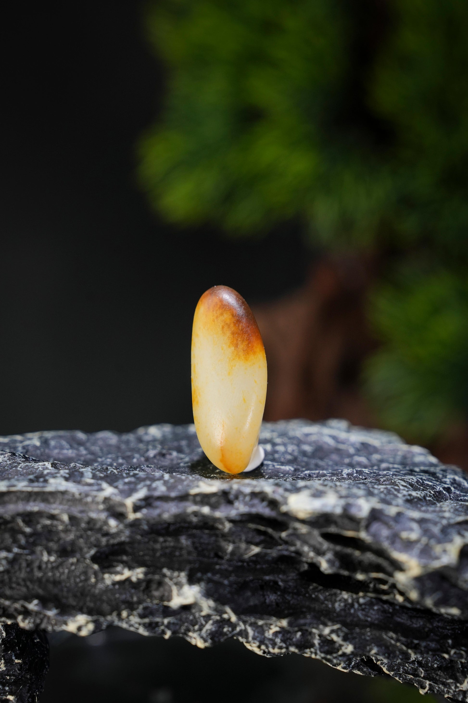 和田玉—聚枣红皮吊坠籽