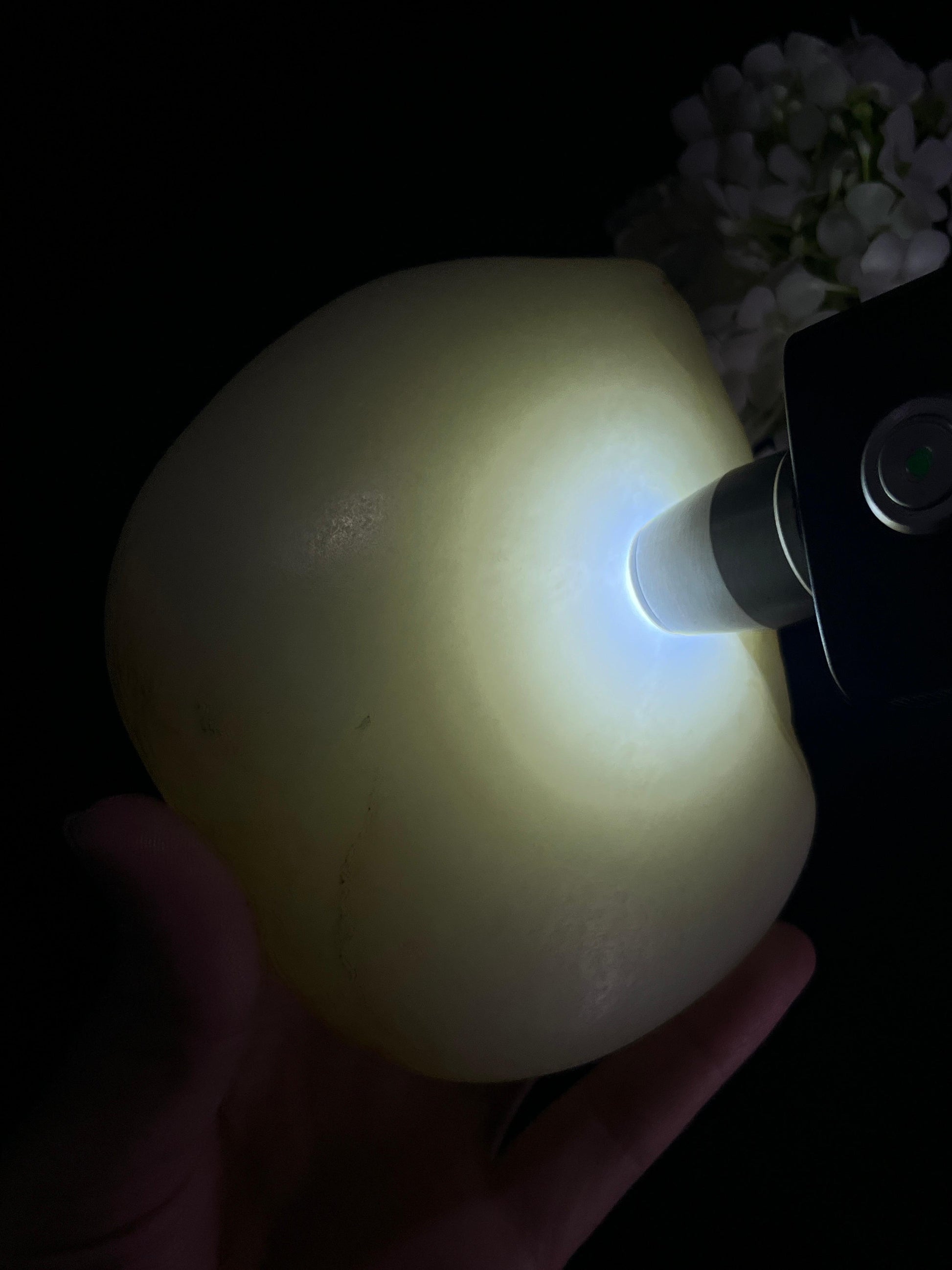 和田玉羊脂白饼状象形籽料原石（yc255799）