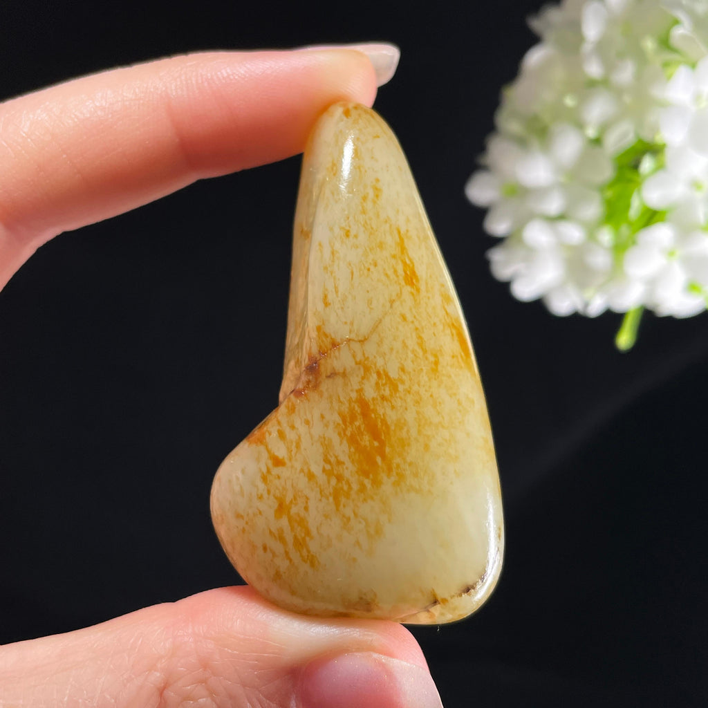 和田玉白玉“金珀秋桐”洒金皮籽料（yc394040）