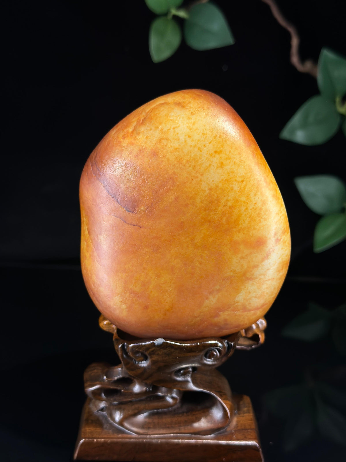 典藏级新疆和田玉白玉聚红油皮籽料（yc739864）