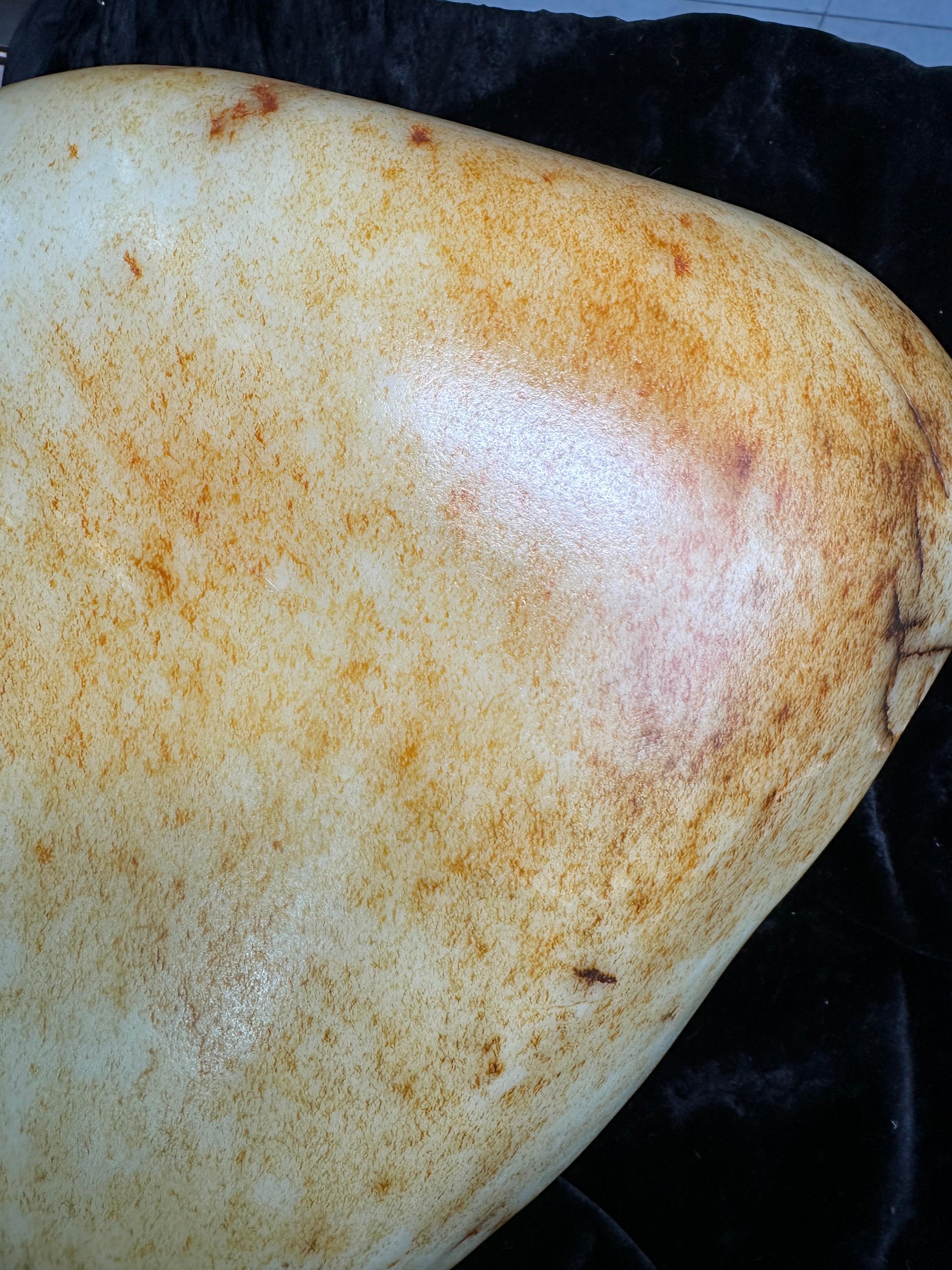 和田玉白玉洒金皮黑红皮“金玉昆仑”收藏级籽料（yc344277）