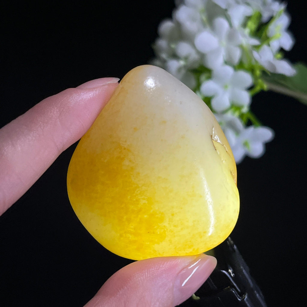和田玉暖白种“黄缃卧雪”黄皮籽料（yc330142）