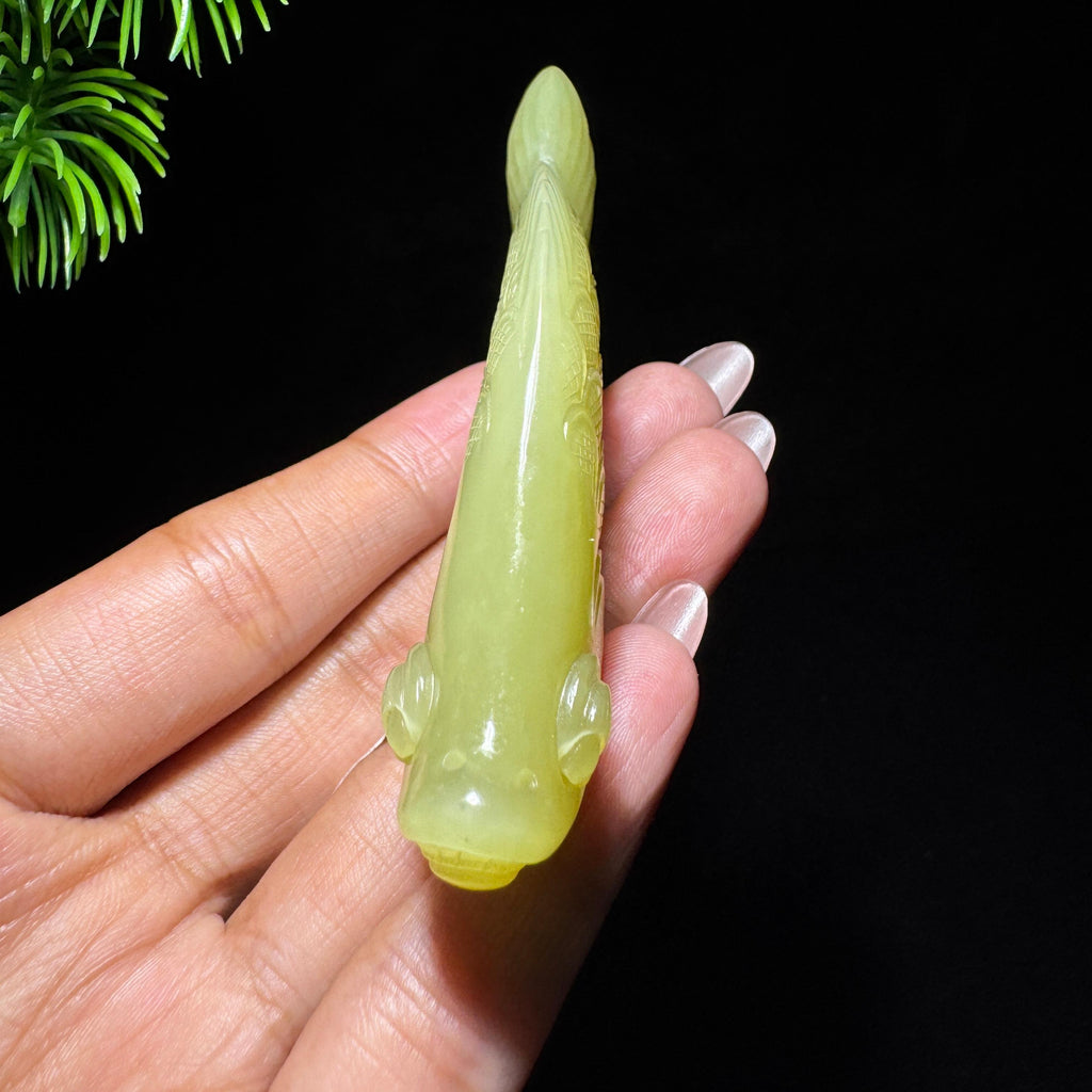 和田玉山料黄玉年年有余（yc735048）