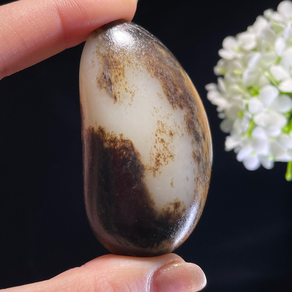 新疆天然和田玉“墨雪凝金”秋梨皮籽料（yc317234）