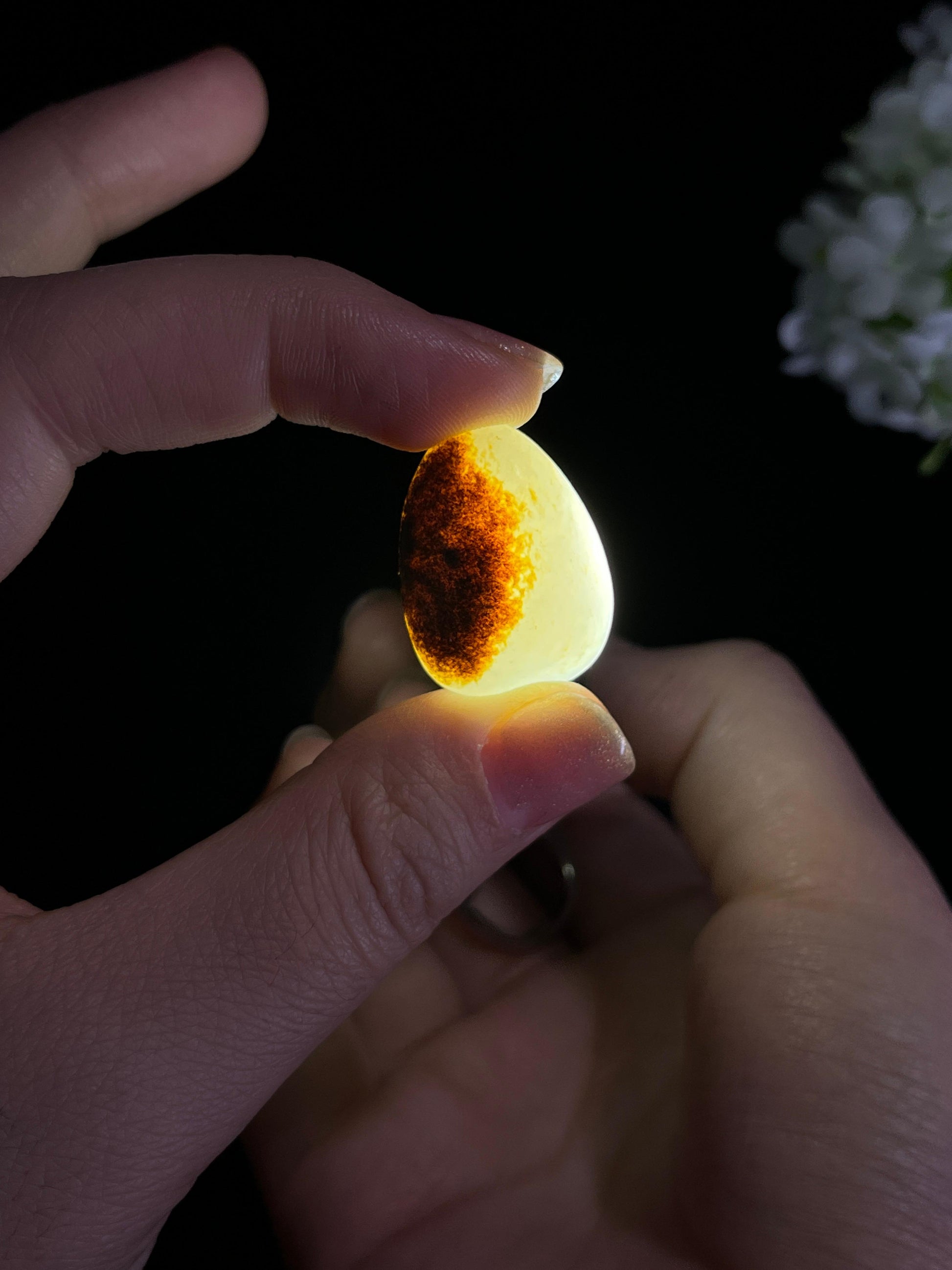 和田玉精品聚黑皮“墨韵凝脂”籽料原石（yc271703）