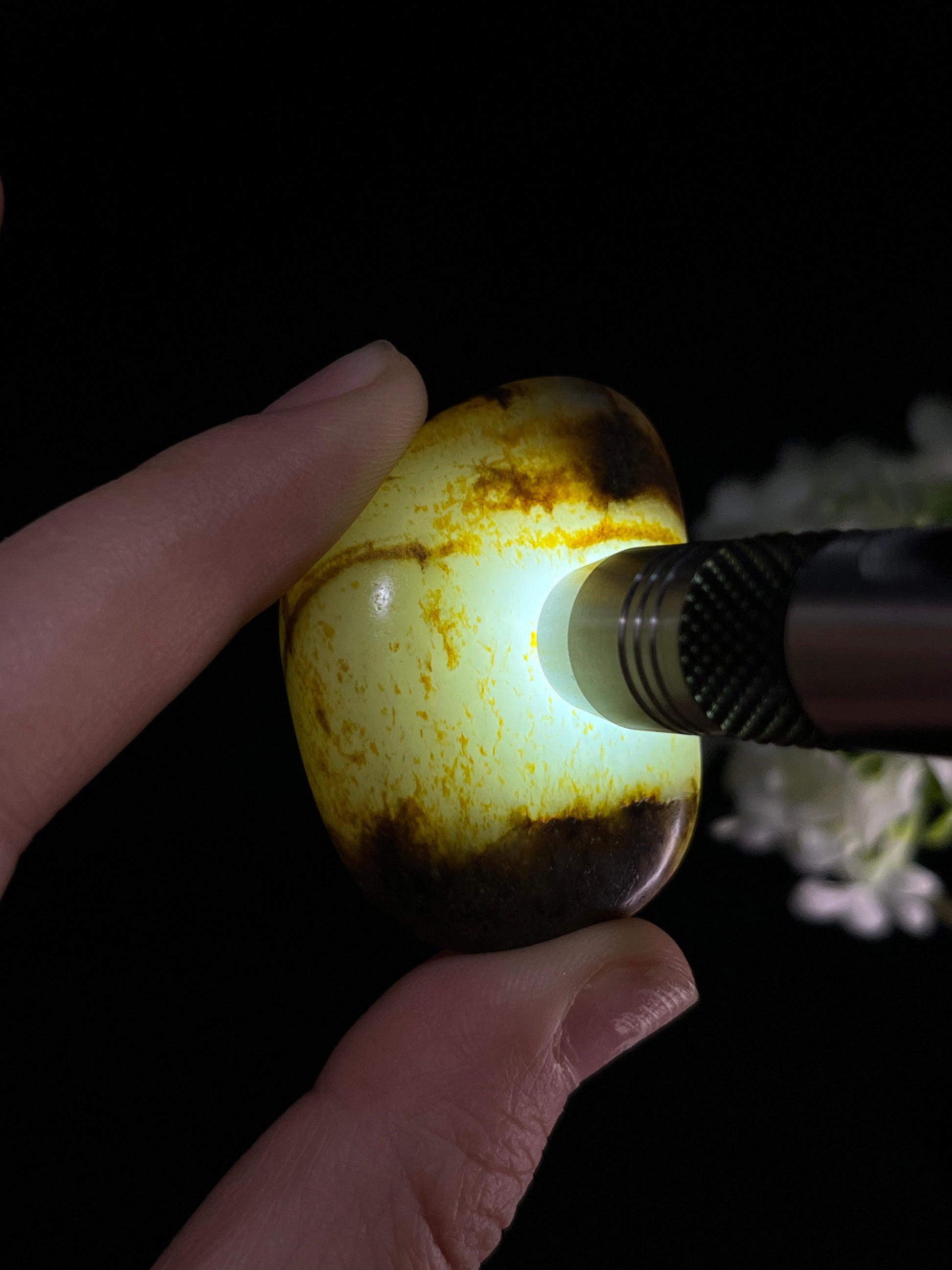 新疆和田玉白玉聚黑皮洒金皮“腰缠万贯”籽料原石（yc251760）