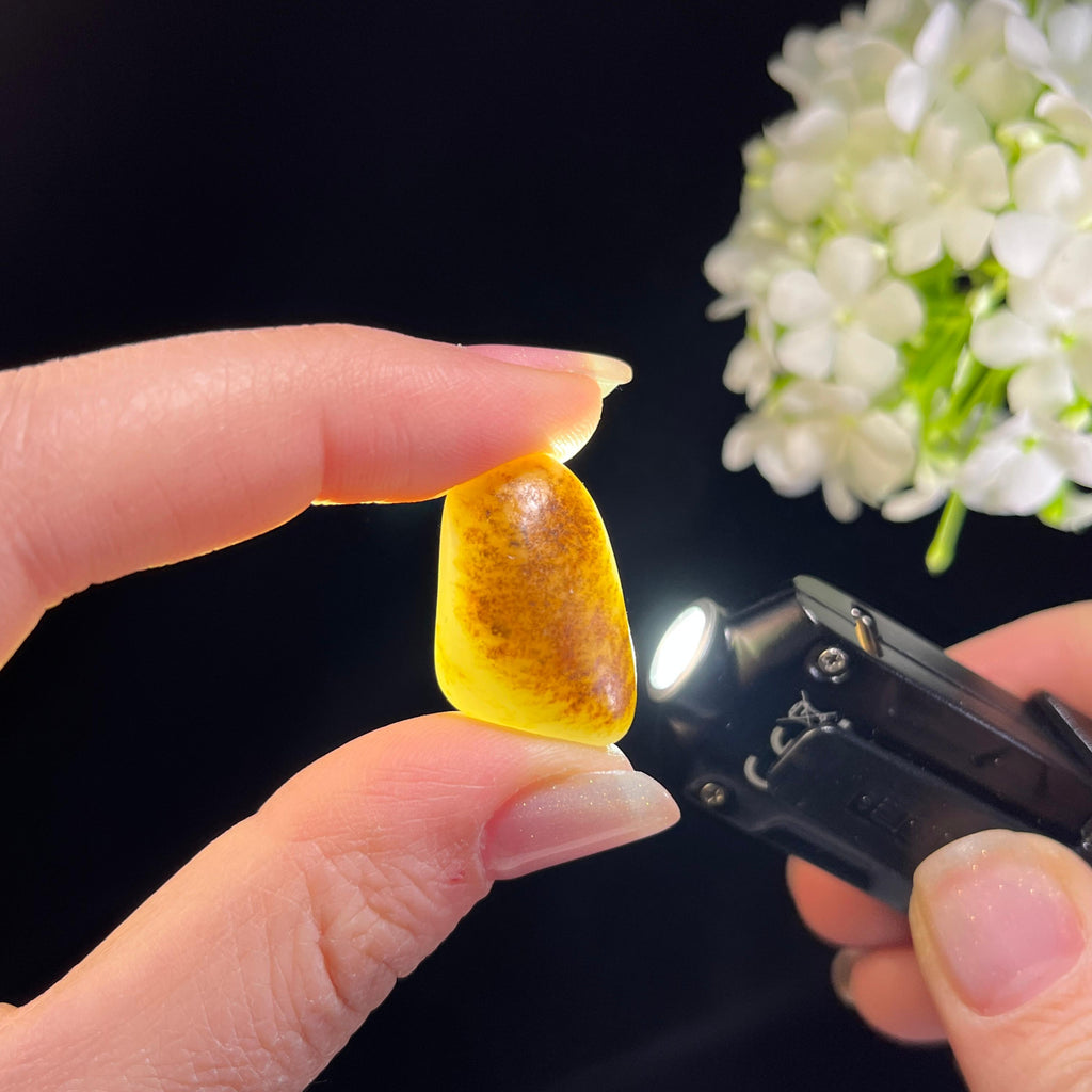 和田玉白玉“赤影浮霜”洒金聚黄皮籽料（yc354542）