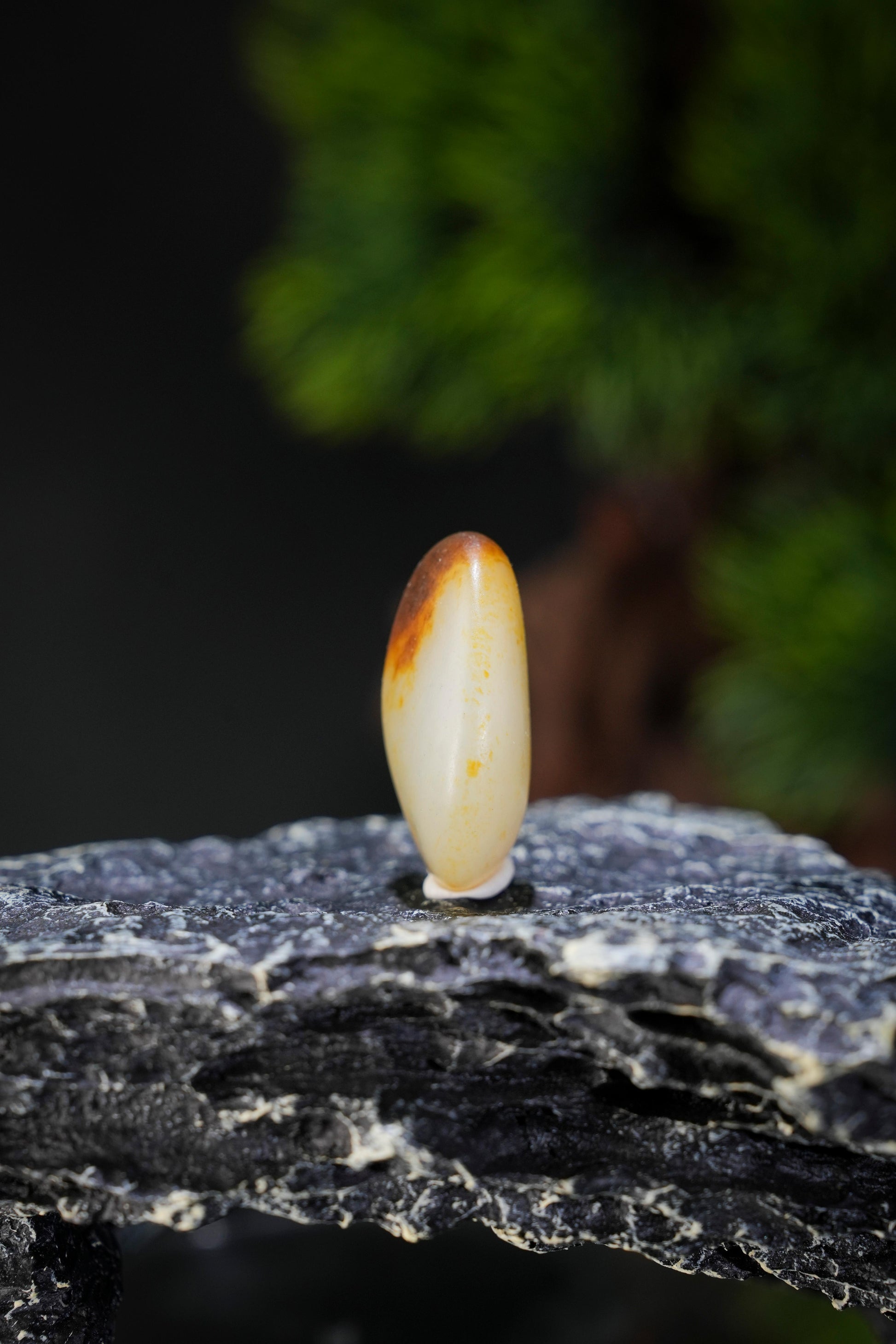 和田玉—聚枣红皮吊坠籽