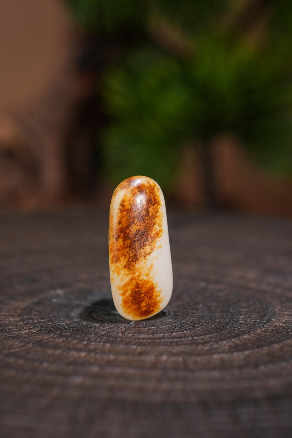 和田玉—秋梨皮带聚黑红皮