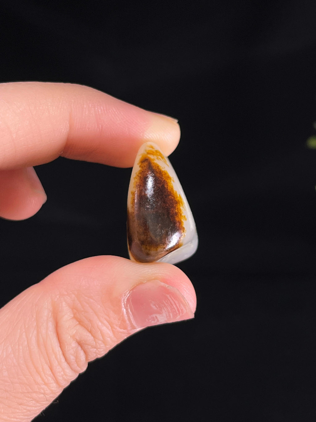 和田玉黑皮白肉籽料原石（yc249833）