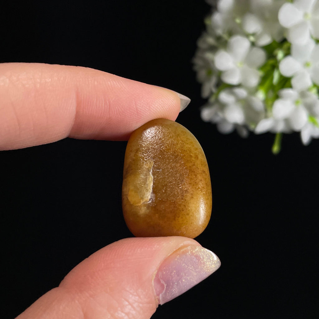 和田玉青白玉“琥珀松脂”秋梨皮籽料（yc329099）