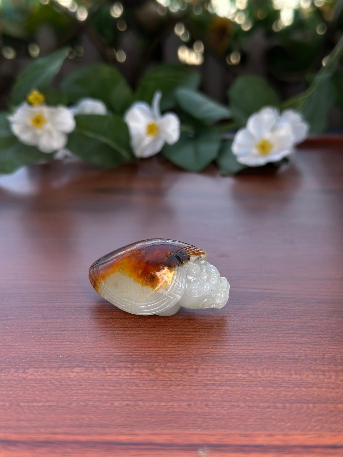 新疆和田玉高青白黑红皮籽料龙龟挂件（yc706306）