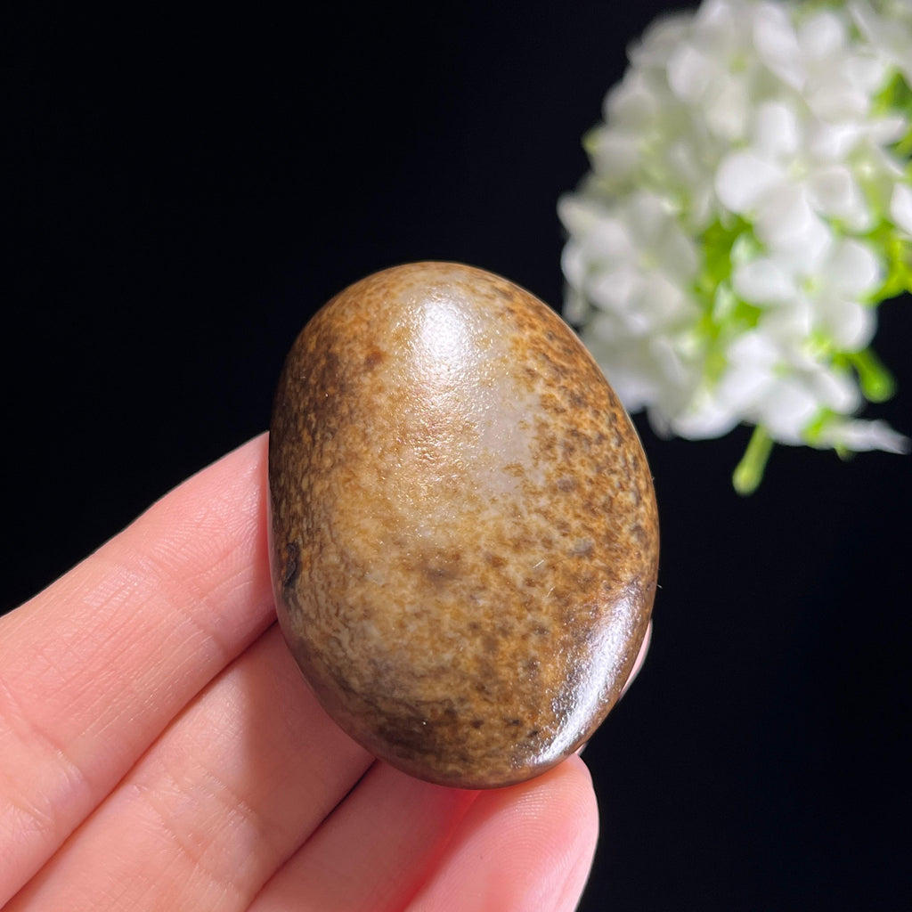 和田玉青白玉“暮江秋褐”秋梨皮籽料（yc351324）
